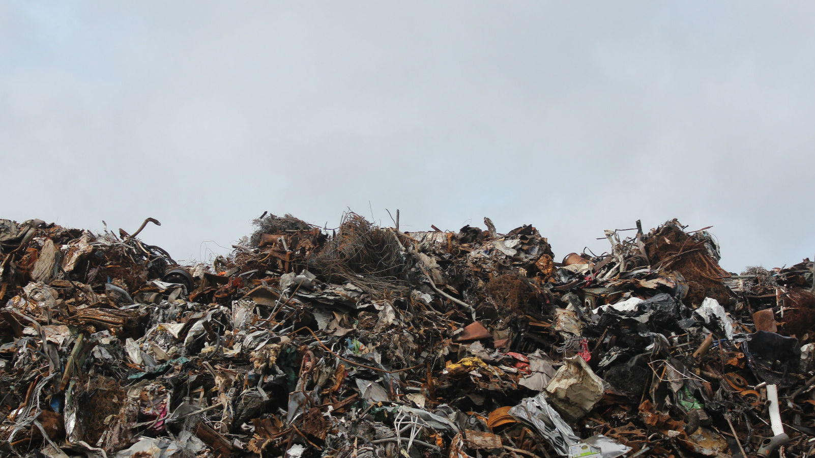 End of the Line | The Consequences